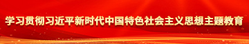 鸡巴操逼逼黄片视频免费学习贯彻习近平新时代中国特色社会主义思想主题教育